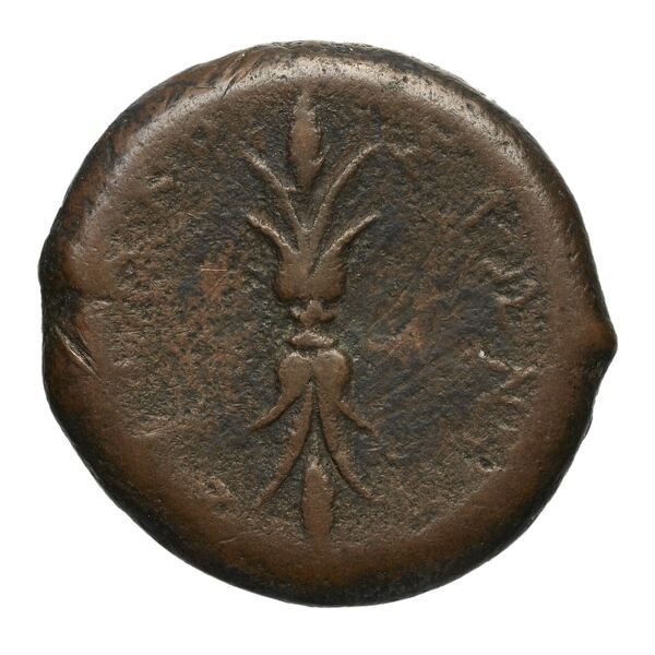 Syracuse Puglisi 2009 304, реверс, bnf-iris