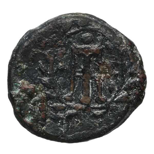 реверс Zacynthus BMC Zacynthus 42-48