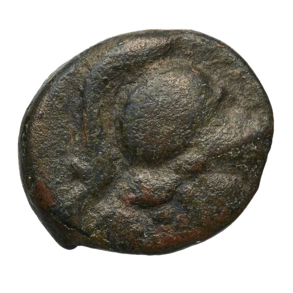 Aetolian League Aetolia Tsangari 2007 Series V, 1400-1672, аверс, bnf-iris