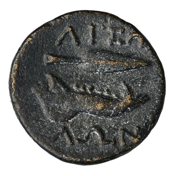 Aetolian League Aetolia Tsangari 2007 Series III, 148-331_349-448_521-558, реверс, bnf-iris