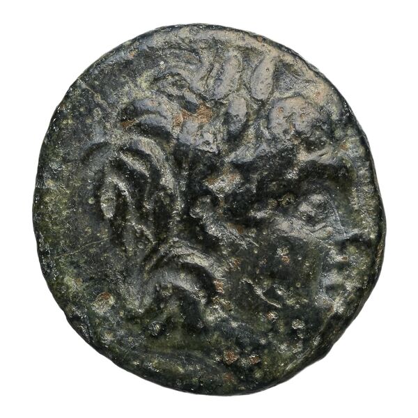 Aetolian League Aetolia Tsangari 2007 Series III, 148-331_349-448_521-558, аверс, bnf-iris