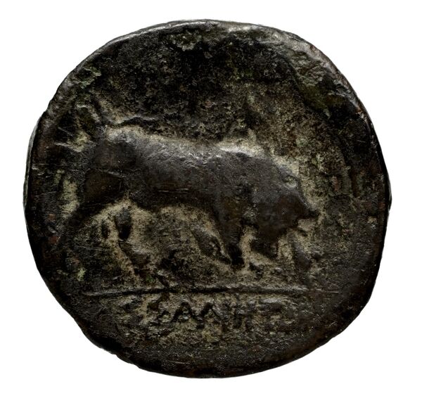Massalia Feugère, Py 2011 GBM.13,PBM.28, реверс, bnf-iris