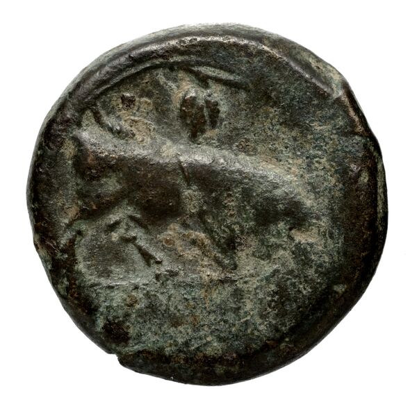 Massalia Feugère, Py 2011 GBM.14-22, MBM.28, MBM.34-5, PBM.29-48, реверс, bnf-iris