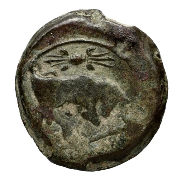 Massalia Feugère, Py 2011 GBM.14-22, MBM.28, MBM.34-5, PBM.29-48, реверс, bnf-iris