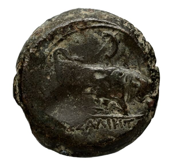 Massalia Feugère, Py 2011 GBM.14-22, MBM.28, MBM.34-5, PBM.29-48, реверс, bnf-iris