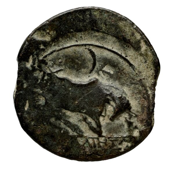 Massalia Feugère, Py 2011 GBM.14-22, MBM.28, MBM.34-5, PBM.29-48, реверс, bnf-iris