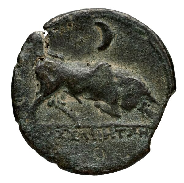 Massalia Feugère, Py 2011 GBM.14-22, MBM.28, MBM.34-5, PBM.29-48, реверс, bnf-iris