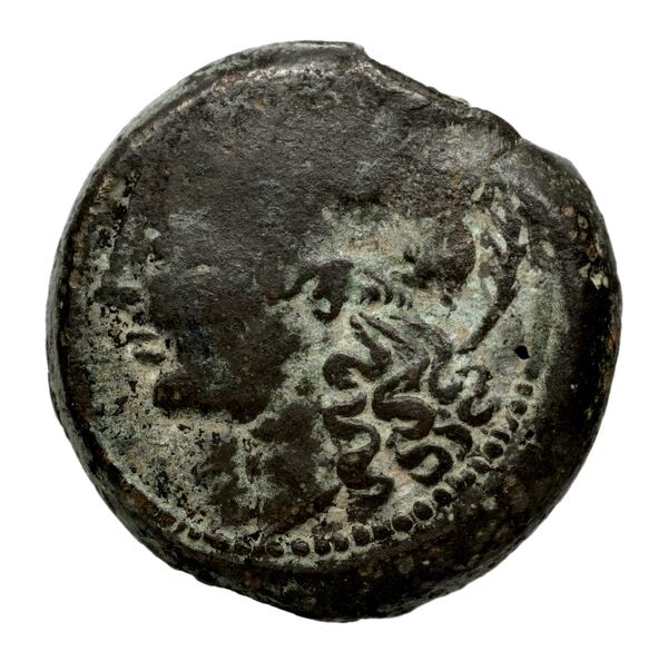 Massalia Feugère, Py 2011 GBM.14-22, MBM.28, MBM.34-5, PBM.29-48, аверс, bnf-iris