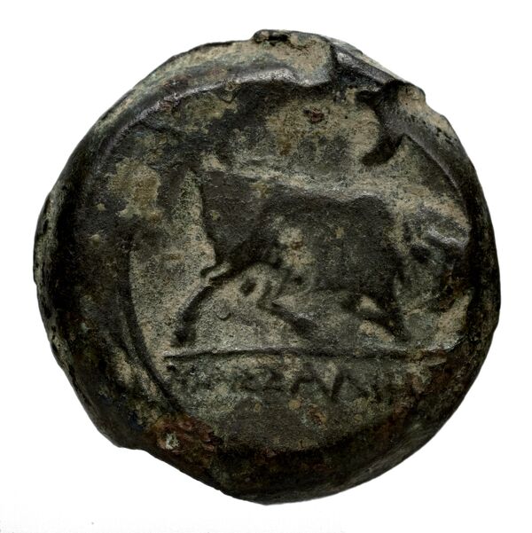Massalia Feugère, Py 2011 GBM.14-22, MBM.28, MBM.34-5, PBM.29-48, реверс, bnf-iris