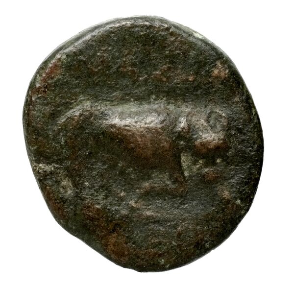 Massalia Feugère, Py 2011 MBM.33, PBM.50-68.PBM.97-8, реверс, bnf-iris