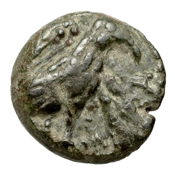 Massalia Feugère, Py 2011 PBM.85, реверс, bnf-iris