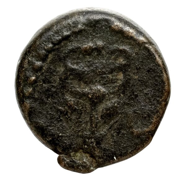 Massalia Feugère, Py 2011 PBM.74-6, реверс, bnf-iris
