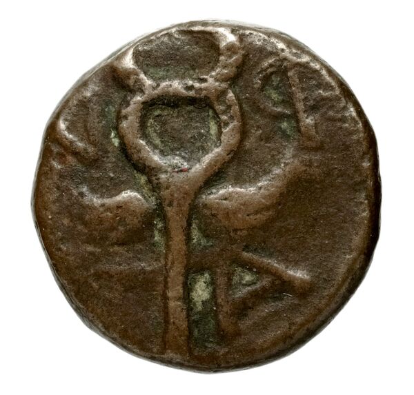 Massalia Feugère, Py 2011 PBM.74-6, реверс, bnf-iris