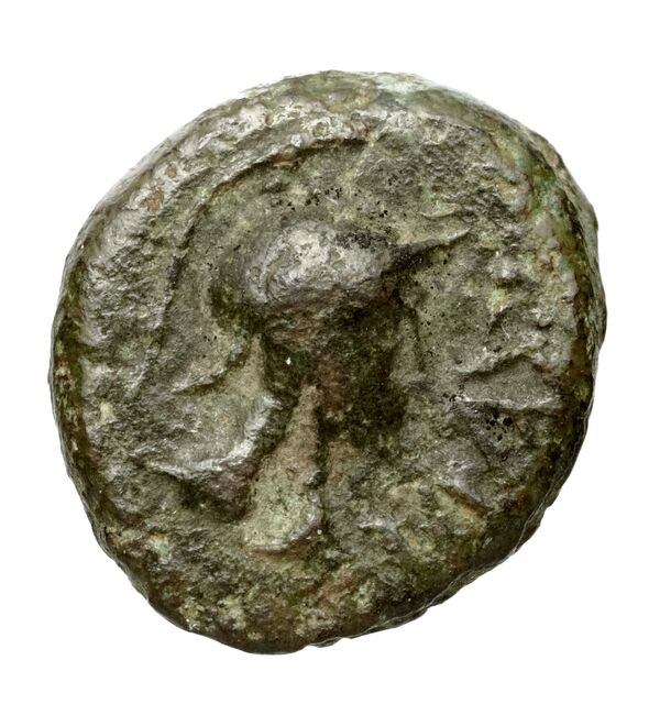 Massalia Feugère, Py 2011 PBM.74-6, аверс, bnf-iris