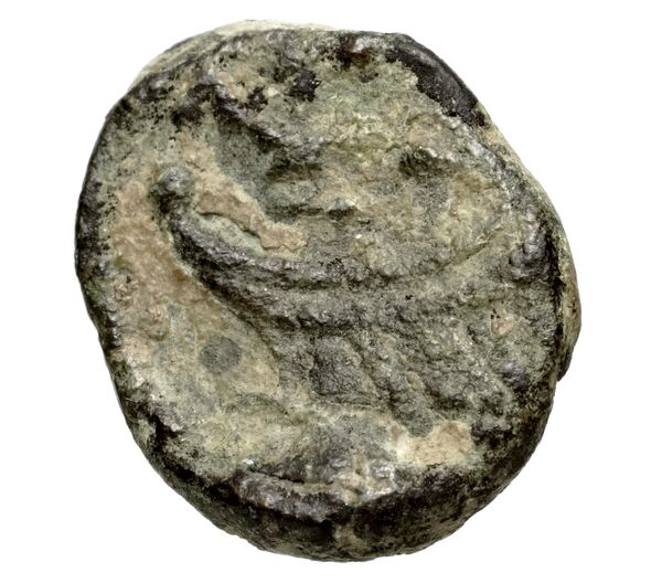 Massalia Feugère, Py 2011 PBM.83-4, реверс, bnf-iris