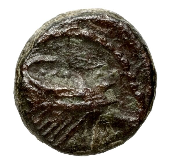 Massalia Feugère, Py 2011 PBM.83-4, реверс, bnf-iris