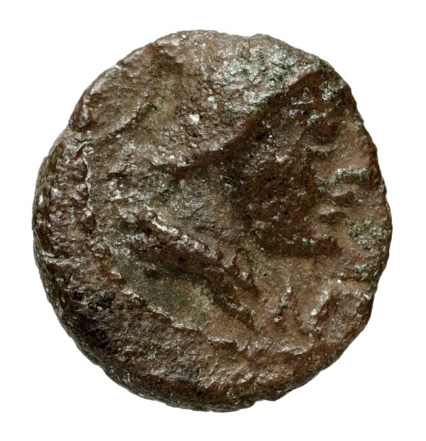 Massalia Feugère, Py 2011 PBM.79-82, аверс, bnf-iris