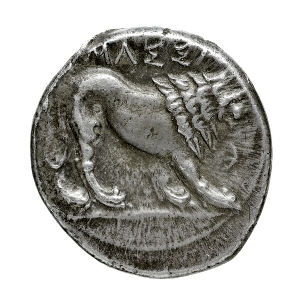 Massalia Feugère, Py 2011 DRM.11, реверс, bnf-iris