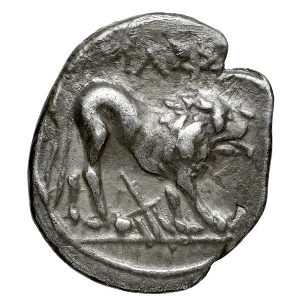 Massalia Feugère, Py 2011 DRM.17-32, DRM.50, реверс, bnf-iris