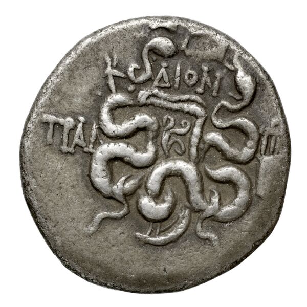 реверс Tralles Carbone 2020 XXVII, tetradrachms