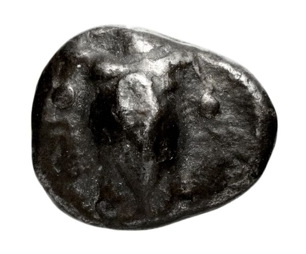 Aegina Meadows and Askari, forthcoming 1b, аверс, bnf-iris