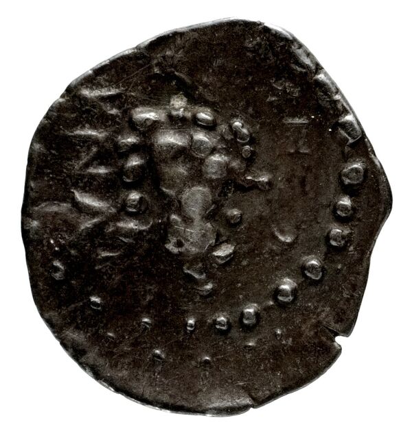 Myndus Zabel and Meadows 2002 Group C Trihemiobols, реверс, bnf-iris