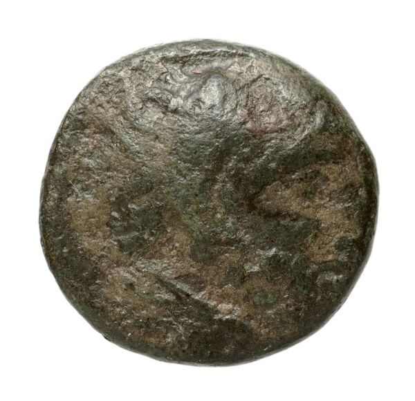 аверс Amyntas III of Macedon Macedon BMC Amyntas III 9-12