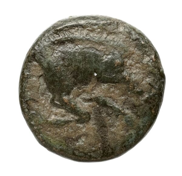 реверс Amyntas III of Macedon Macedon BMC Amyntas III 9-12