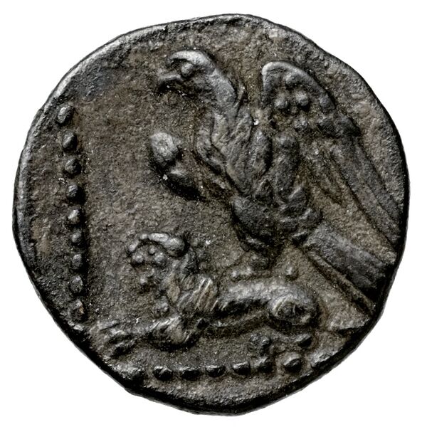 Cilicia SNG Levante 230, реверс, bnf-iris