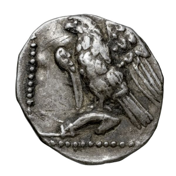 Cilicia SNG Levante 228, реверс, bnf-iris