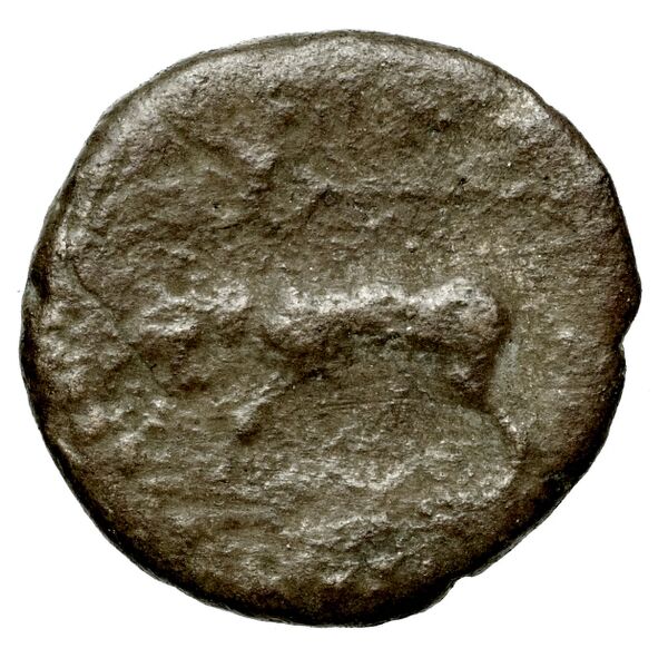 Gortyn Carbone 2016 177-185, реверс, bnf-iris