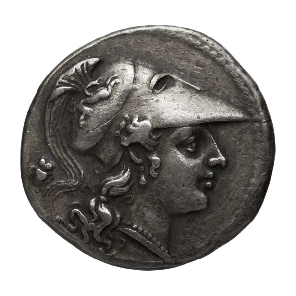 аверс Pyrrhus Syracuse BMC Pyrrhus 1
