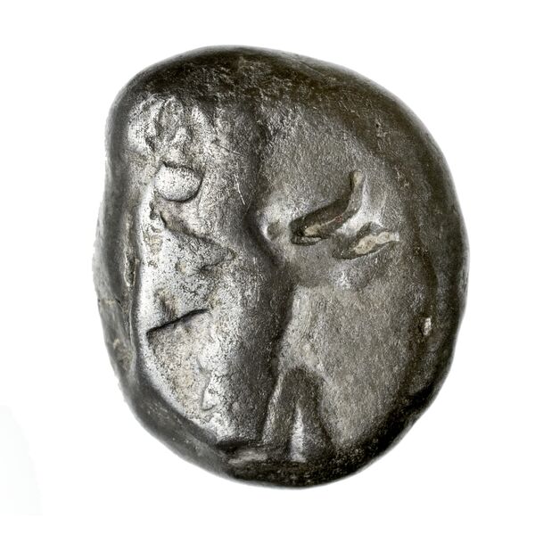 Sardis Carradice 1987 Type IV late siglos, аверс, BnF (IRIS)