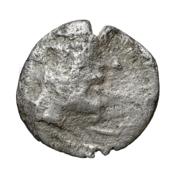 Aradus Elayi 2015 Pl. xiv, c17-20, аверс, bnf-iris