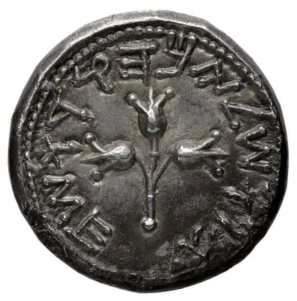 реверс Simon Maccabaeus Judaea Hendin 2010 1367