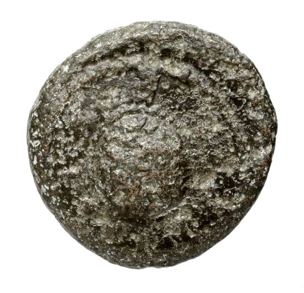 obverse Paestum Historia Numorum Italy 1223
