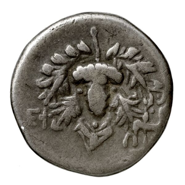 obverse Ephesus Kleiner and Noe 1977 21 drachm