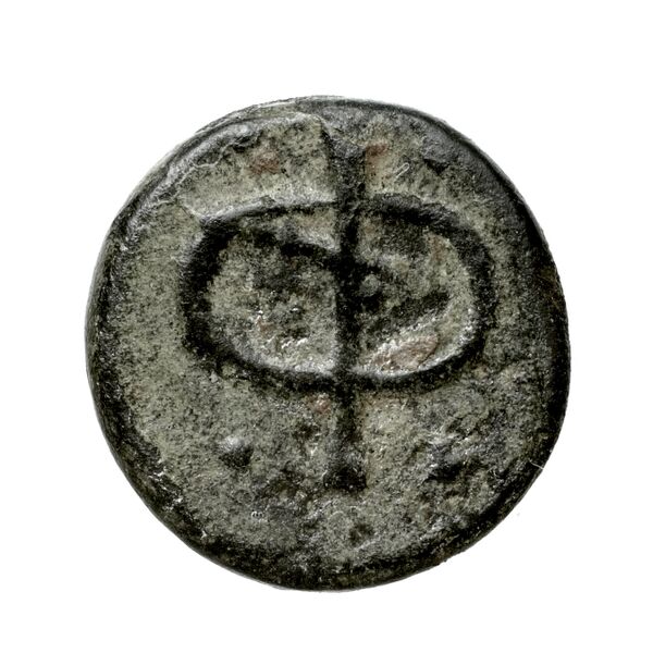 Phlius BMC Phlius 13-7, реверс, bnf-iris