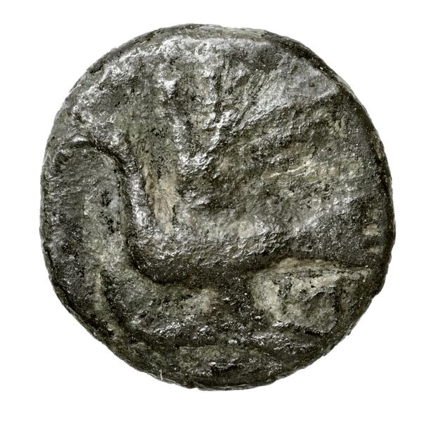 Sicyon Warren 1984 Group 8, аверс, bnf-iris