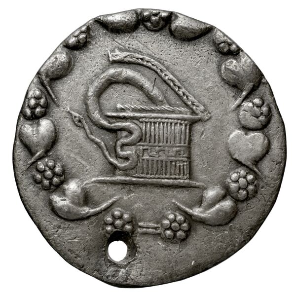 Ap. Claudius Ap. f. Pulcher, governor of Cilicia Laodiceia ad Lycum Metcalf 2017 XIII, аверс, bnf-iris
