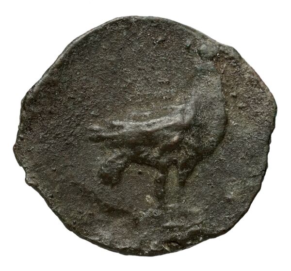 Locri Epizephyrii Historia Numorum Italy 2352, реверс, BnF (IRIS)