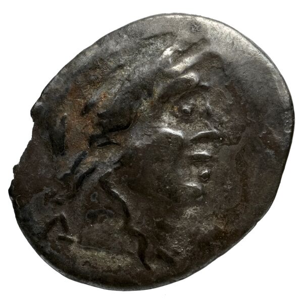 Lycian League Pinara Troxell 1982 4.96, аверс, bnf-iris