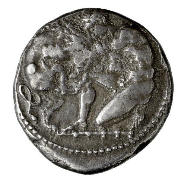 Tarsus Casabonne 2000 J1, реверс, bnf-iris
