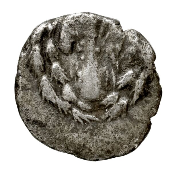 Tralles Carbone 2020 IX, drachms, реверс, bnf-iris