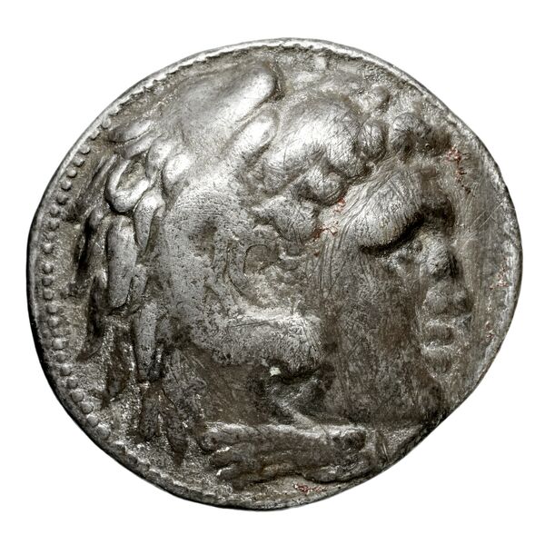 аверс Areus I of Sparta Lacedaemon Grunauer 1978 gruppe_I