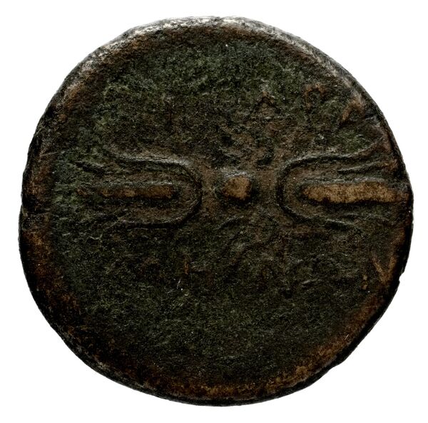 Cidramus Robert 1954 A-B, реверс, bnf-iris