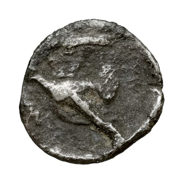 Sicyon BMC Sicyon 125-34, реверс, bnf-iris