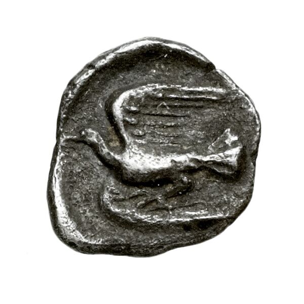 Sicyon BMC Sicyon 125-34, реверс, bnf-iris