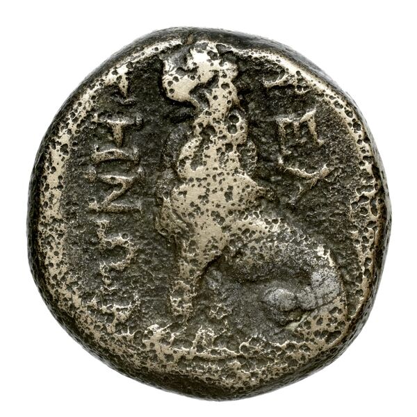 Peltae BMC Peltae 1-2, реверс, bnf-iris