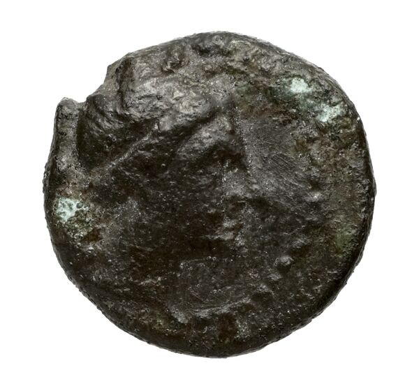 аверс Vibo Valentia Historia Numorum Italy 2267